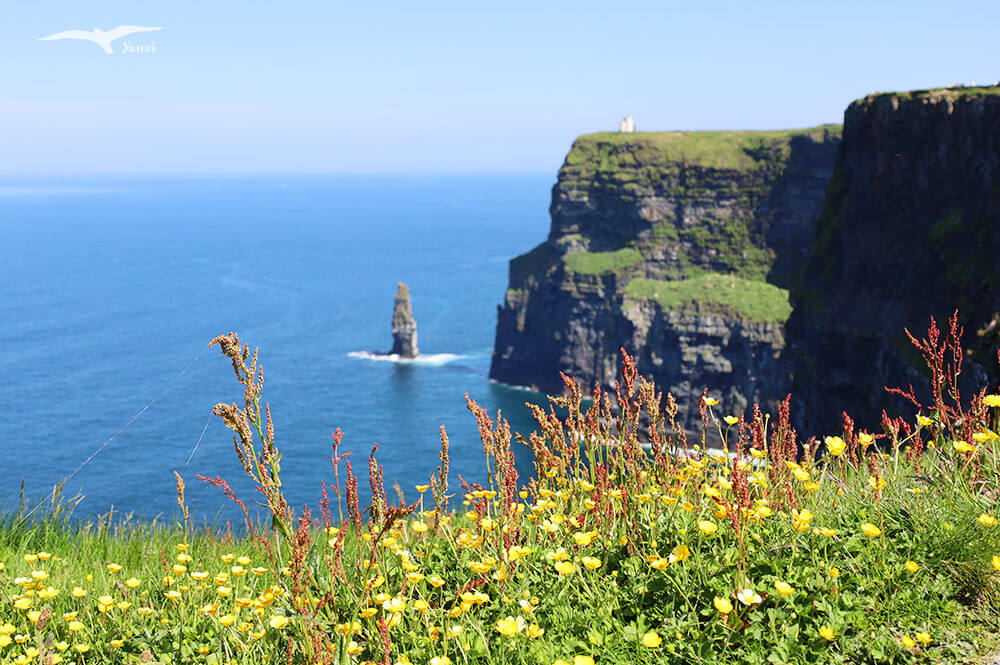【莫赫懸崖一日遊 Cliffs of Moher】都柏林出發！壯麗海岸線｜愛爾蘭必訪