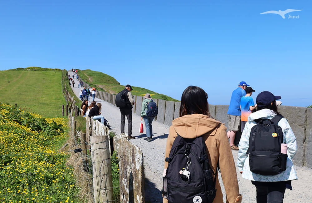【莫赫懸崖一日遊 Cliffs of Moher】都柏林出發！壯麗海岸線｜愛爾蘭必訪