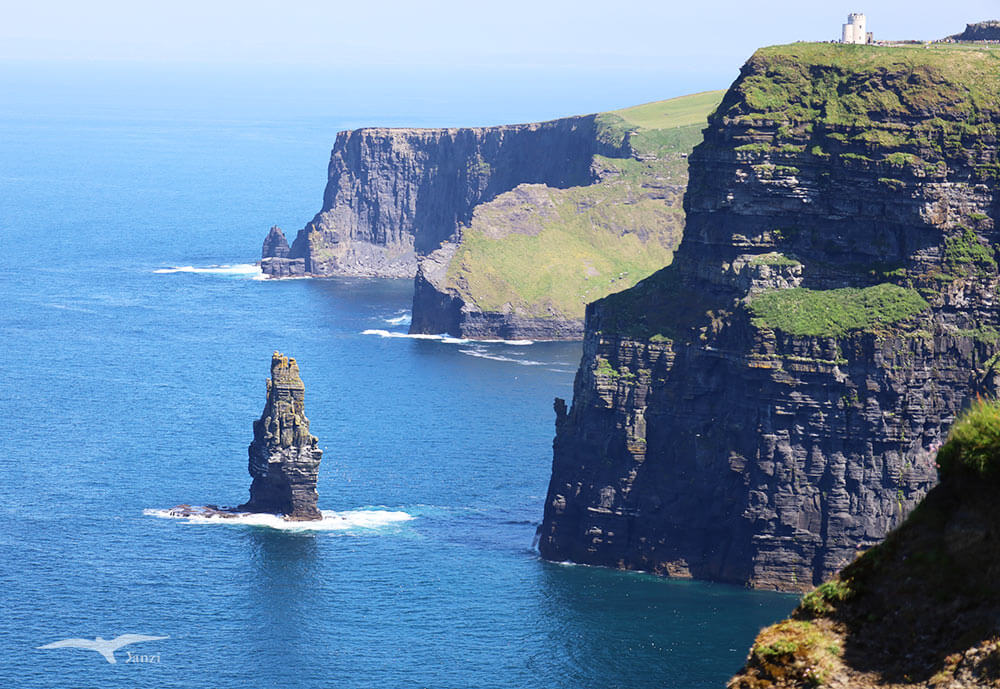 【莫赫懸崖一日遊 Cliffs of Moher】都柏林出發！壯麗海岸線｜愛爾蘭必訪