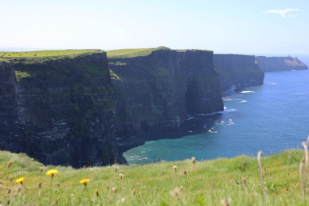 【莫赫懸崖一日遊 Cliffs of Moher】都柏林出發！壯麗海岸線｜愛爾蘭必訪