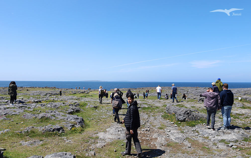 【莫赫懸崖一日遊 Cliffs of Moher】都柏林出發！壯麗海岸線｜愛爾蘭必訪