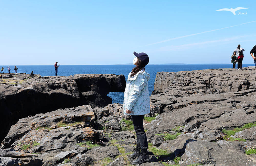 【莫赫懸崖一日遊 Cliffs of Moher】都柏林出發！壯麗海岸線｜愛爾蘭必訪