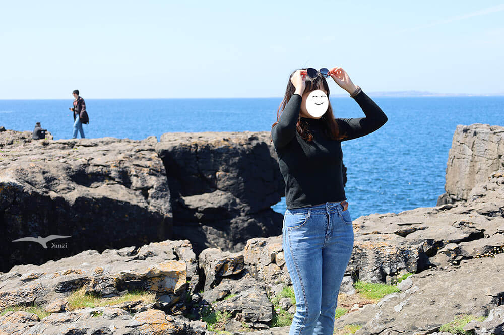 【莫赫懸崖一日遊 Cliffs of Moher】都柏林出發！壯麗海岸線｜愛爾蘭必訪