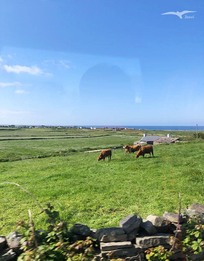 【莫赫懸崖一日遊 Cliffs of Moher】都柏林出發！壯麗海岸線｜愛爾蘭必訪