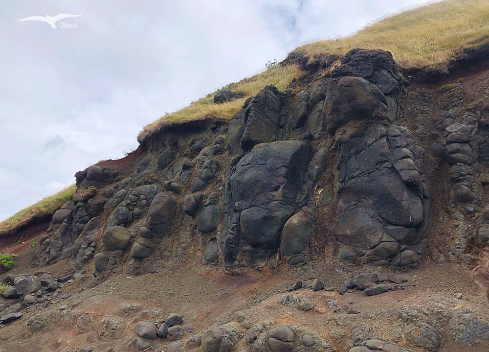 【北愛爾蘭一日遊】都柏林出發！景點路線｜巨人堤道+黑暗樹籬+鐵達尼號紀念館